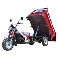 motorized tricycles 250CC cargo motorcycle truck big wheel tricycle for adult