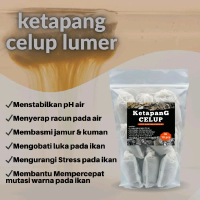 Ketapang Celup Lumer Ikan Cupang Channa Maru YS Auranti Limbata Pulchra Asiatica Red Barito Treathme