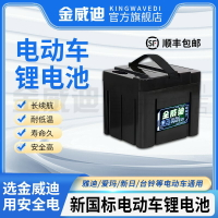 【固定支架定型鎳帶】同款48V鋰電池新國標電動新日大容量25AH星恒天能兩輪通用型原廠-創美