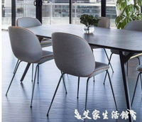 北歐鐵藝甲殼蟲餐椅現代簡約創意咖啡廳椅子家用歐式絨布墊靠背椅 LX 【限時特惠】