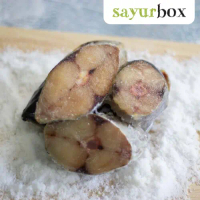 Ikan Tenggiri Potongan Steak 500 gram Sayurbox
