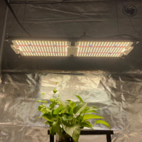 240W LED Board LM281B+Epistar 660nm Red UV IR KingBrite LED Grow Light For 2*4ft Grow Area Indoor Plants