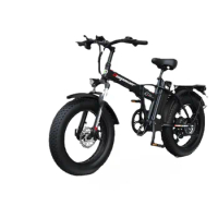 20INCH Ebike 48V 25AH Lithium Battery Mechanical Disc Brake 1000W Electric Bike Fat Tire Folding E bike