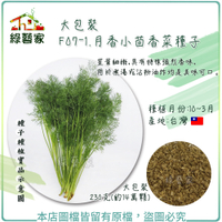 【綠藝家】大包裝F07-1.月香小茴香菜種子230克(客家香菜)