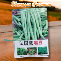 (KEMASAN PREMIUM) BENIH BUNCIS TEGAK/BUNCIS BABY BEAN