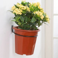 歐潤哲 掛牆式花盤架環花盆整理架花架托花盤收納架子-8英寸掛牆式花盤架環三隻裝 均碼