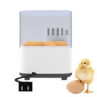 Small Fully Automatic Household 6-egg Incubator Smart Thermostat Auto-rotate Transparent Mini Brooder Incubator Poultry Turtle