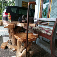 Tongkat kayuPucangKalak alami