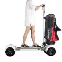 1600w 10 Inch Sharing Four Wheels Min Electric Golf Skate Board Golfboard for Sale USA warehouse fast delivery