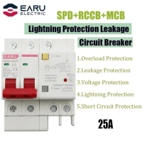 25A 2P SPD Residual Current Circuit Breaker With Overload Overvoltage RCBO RCCB With Lightning Protection MCB Leakage Protector