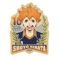 Mô hình Standee vua bóng chuyền Haikyuu Hinata Iwaizumi kita miya akaashi bokuto Phụ kiện trang trí 