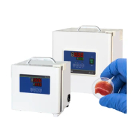 Portable Incubator Laboratory Thermostatic Devices Electrical Thermostat Heated Digital Mini Incubator Biological 220V