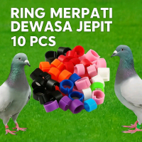 RING JEPIT BURUNG MERPATI 10 PCS MERPATI KOLONG POS RUMAHAN