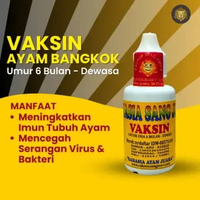 Vaksin Ayam Bangkok Tetes Mencegah Aratan Meningkatkan Imun Pada Ayam