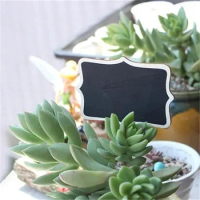 Wooden Blackboard for Flowers and Succulent Plants Seeds, Name Labels, Vegetables Potted Plants Identification Board, 10PCs