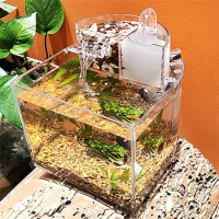 Mini Desktop Fish Tank Mute Filter Small Ecological Aquarium Transparent Fish Tank With Filter Box 2.5W Submersible Pump Set