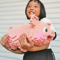鉆石拼插小顆粒拼裝積木益智玩具兼容成人禮物擺件豬年豬生肖