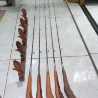 Jejer Lentud - Produk Asli Berkualitas Tinggi