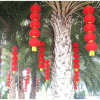 紅燈籠吊掛飾懸掛裝飾品場景客廳陽臺用品壁掛房間簡約吊飾新年1入
