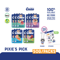 Catto Cat Food - Pitapixie's Special Pick Bundle 50gr x 10 pcs | Natural Wet Cat Food | Makanan Kuci