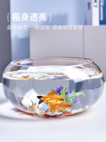 辦公桌小魚缸客廳小型透明玻璃迷你桌面圓形家用創意精致金魚缸