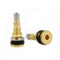 TR618A Tractor Air Liquid Tubeless Tire Brass Valve Stem, 2PCS, Designed for Agricultural and Truck Tires, 16MM Gas Nozzle Hole