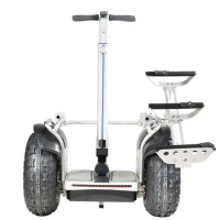 19 inch Smart Intelligent Offroad Chariot Electric Hover Board Golf E Self Balance Scooter