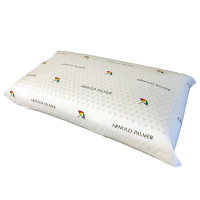 Arnold Palmer雨傘牌 透氣立體結構棉網乳膠枕1入(麵包枕)