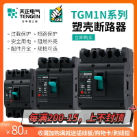 天正電氣TGM1N塑殼斷路器3P空開3300 380V三相225A80A50A125A315A