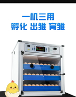 孵化機全自動家用智能小雞孵化器小型中型蘆丁雞孵蛋器雞蛋孵化箱110V