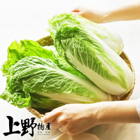 【上野物產】24包 台灣產 山東大白菜 切段(300g±10%/包 蔬菜/冷凍蔬菜/白菜/大白菜/白菜滷)