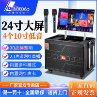 丹嘜仕大功率高端戶外移動KTV廣場音響顯示屏廣場舞直播視頻音箱