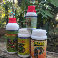 Pupuk Organik Untuk Cabai  Tomat Terong Kacang panjang Brokoli Jagung Kobis Pare 1 paket SUPERNASA H