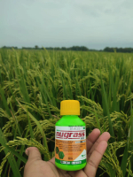 Herbisida Sistemik Purna Tumbuh Nugrass 69 EC untuk Gulma Rumput