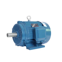 High Speed Motor Double Voltage 460V Three-phase Induction Motor Electric Motor