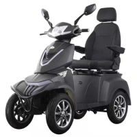 2021 new product EEC/CE certificated 4 wheel electric mobility scooters with rear view camera