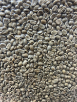 瓜地馬拉咖啡豆 新東方處理場 莊園咖啡 生豆 1公斤裝-【良鎂咖啡精品館】