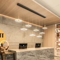 LED現代簡約前臺吊燈長條荷葉家用餐廳燈辦公室吧臺創意個性吊燈