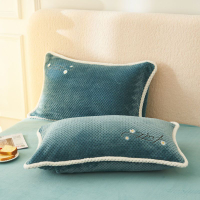加厚貝貝牛奶絨枕套一對裝法蘭絨枕套單只單人珊瑚絨枕頭套