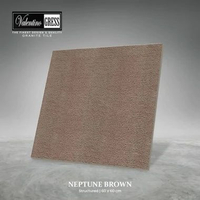 GRANITE VALENTINO GRESS 60x60 CM - NEPTUNE BROWN