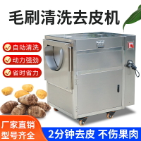 商用土豆洋芋紅薯蘿卜打皮機脫皮機去皮機全自動生蠔馬蹄清洗機