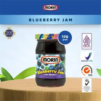 MORIN SELAI BLUEBERRY 170GR