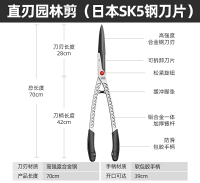 修枝剪 日本質造園藝剪園林花剪修枝剪果樹剪草坪綠化強力大剪刀修剪樹枝【HZ65856】