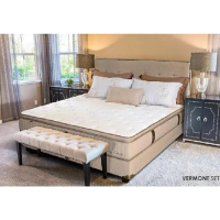 Quantum Maxwell Spring Latex Springbed Vermont Bed Set by Quantum