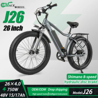 High power mountain bike 26 inch fat tire electric bike /ebike/bicycle/electric bicycle/ebicycle/e-bike/e-bicycle