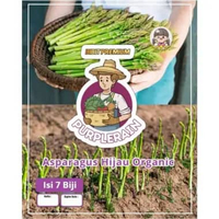 Bibit Premium Asparagus Hijau Organic | Biji Benih Asparagus Hijau | Asparragus