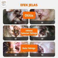 Cassiel Pet Obat Tetes Telinga Kucing Anti Peradangan Saluran Telinga Anti Earmites Conge Gatal Dan 