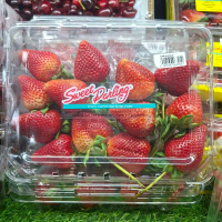 Buah Strawberry Sweet Darling JUMBO Fresh / Strawberry Sweet Darling / Pack