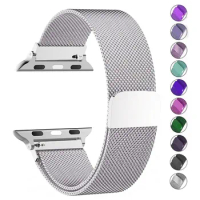 Magnetic Strap for Apple Watch bands 44mm 40mm 49mm 45mm 41mm 42mm 38mm 45 mm Metal bracelet iwatch series 3 6 7 8 9 SE ultra 2