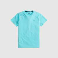 Hollister 海鷗 熱銷刺繡海鷗素面短袖T恤-水藍色